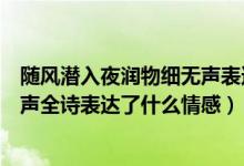 隨風潛入夜?jié)櫸锛殶o聲表達什么意思（隨風潛入夜?jié)櫸锛殶o聲全詩表達了什么情感）