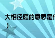 大相徑庭的意思是什么（大相徑庭的名詞解釋）