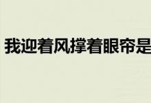 我迎著風(fēng)撐著眼簾是什么歌（這首歌的歌詞）