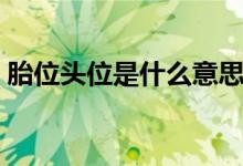 胎位頭位是什么意思（胎位頭位是什么意思）