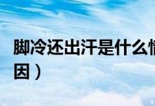腳冷還出汗是什么情況（腳冷還出汗是什么原因）