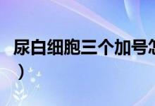 尿白細(xì)胞三個加號怎么辦（尿白細(xì)胞三個加號）