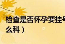 檢查是否懷孕要掛號(hào)嗎(檢查是否懷孕要掛什么科)