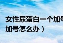 女性尿蛋白一個加號嚴重嗎（女性尿蛋白一個加號怎么辦）