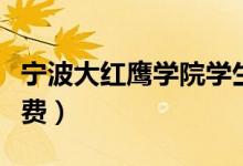 寧波大紅鷹學院學生視頻（寧波大紅鷹學院學費）