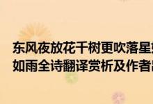 東風(fēng)夜放花千樹更吹落星如雨（東風(fēng)夜放花千樹更吹落、星如雨全詩翻譯賞析及作者出處）