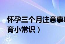 懷孕三個月注意事項（孕媽媽要知道的5個孕育小常識）