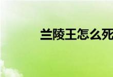 蘭陵王怎么死的（蘭陵王簡介）