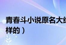 青春斗小說原名大結(jié)局（青春斗的結(jié)局是什么樣的）