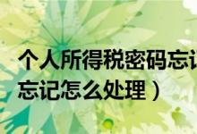 個(gè)人所得稅密碼忘記怎么辦（個(gè)人所得稅密碼忘記怎么處理）