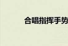 合唱指揮手勢教程（該怎么做）