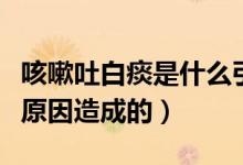 咳嗽吐白痰是什么引起的(咳嗽吐白痰是什么原因造成的)