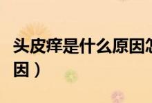 頭皮癢是什么原因怎么解決（頭皮癢是什么原因）