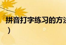 拼音打字練習(xí)的方法（快速學(xué)拼音打字的方法）
