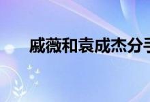 戚薇和袁成杰分手原因（是因為什么）