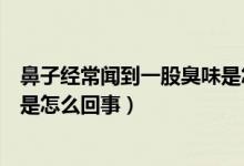 鼻子經(jīng)常聞到一股臭味是怎么回事（鼻子總是聞到一股臭味是怎么回事）