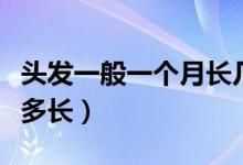 頭發(fā)一般一個(gè)月長幾厘米（頭發(fā)一般一個(gè)月長多長）