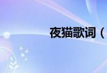 夜貓歌詞（夜貓歌詞賞析）