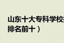 山東十大?？茖W(xué)校排名2022（高職高專院校排名前十）