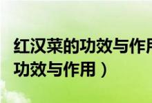 紅漢菜的功效與作用及禁忌有哪些（紅漢菜的功效與作用）