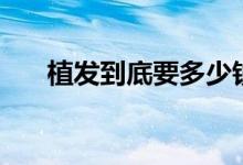 植發(fā)到底要多少錢（植發(fā)到底多少錢）