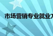 市場(chǎng)營(yíng)銷專業(yè)就業(yè)方向（有哪些工作崗位）