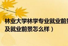 林業(yè)大學(xué)林學(xué)專業(yè)就業(yè)前景怎么樣（2022林學(xué)專業(yè)就業(yè)方向及就業(yè)前景怎么樣）