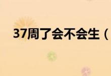 37周了會不會生（37周是不是隨時會生）