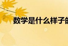 數(shù)學(xué)是什么樣子的（數(shù)學(xué)是什么符號(hào)）