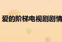 愛的階梯電視劇劇情（電視劇愛的階梯簡(jiǎn)介）