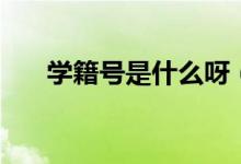 學籍號是什么呀（學籍號是什么意思）