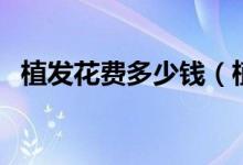 植發(fā)花費(fèi)多少錢（植發(fā)大概需要花多少錢）