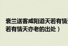 衰蘭送客咸陽道天若有情天亦老的意思（衰蘭送客咸陽道天若有情天亦老的出處）
