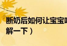 斷奶后如何讓寶寶吃奶粉（下面就帶大家來了解一下）