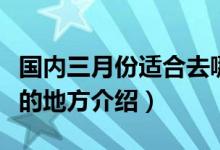 國內(nèi)三月份適合去哪旅游（適合三月份去旅游的地方介紹）