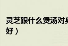 靈芝跟什么煲湯對(duì)身體好（靈芝跟什么煲湯最好）