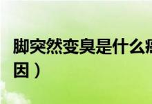 腳突然變臭是什么癌癥（腳突然變臭是什么原因）
