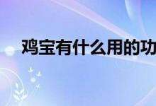 雞寶有什么用的功效(雞寶有什么作用)