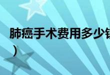 肺癌手術(shù)費(fèi)用多少錢?。ǚ伟┦中g(shù)費(fèi)用多少錢）
