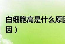 白細胞高是什么原因小兒（白細胞高是什么原因）