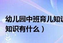 幼兒園中班育兒知識（關(guān)于幼兒園中班的育兒知識有什么）
