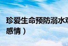 珍愛生命預(yù)防溺水觀后感（怎么表現(xiàn)出自己的感情）