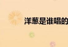 洋蔥是誰唱的（洋蔥歌曲介紹）