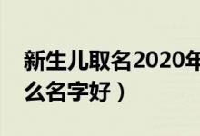 新生兒取名2020年好名字大全(新生兒叫什么名字好)