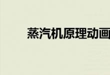 蒸汽機(jī)原理動畫視頻（蒸汽機(jī)原理）