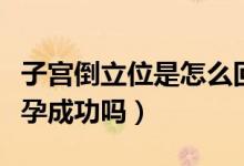 子宮倒立位是怎么回事(子宮后位倒立就會懷孕成功嗎)