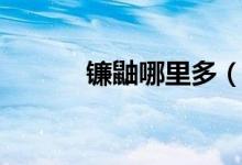 鐮鼬哪里多（哪里的陰陽師多）