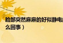 臉部突然麻麻的好似靜電的感覺（臉部輕微發(fā)麻像靜電是怎么回事）