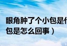 眼角腫了個小包是什么引起的（眼角腫了個小包是怎么回事）