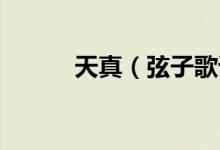 天真（弦子歌詞 歌曲天真歌詞）
